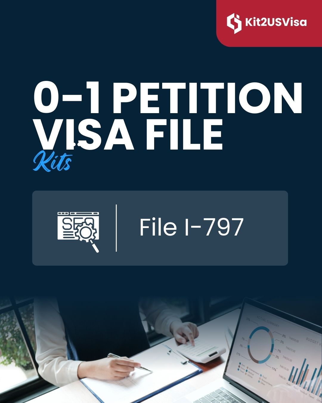 0-1 petition preparation (full package)
